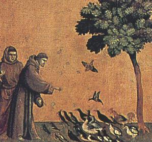 Kzn ptkm (Giotto, basilika sv. Frantika)