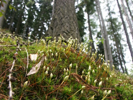 1/250 s | F4.5 | ISO 100