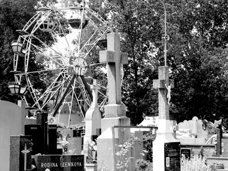 1/500 s | F5 | ISO 100