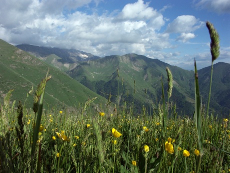 1/640 s | F8 | ISO 100