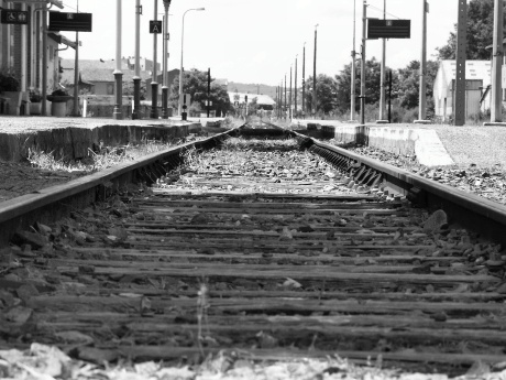 1/500 s | F5.6 | ISO 100