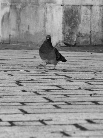 1/200 s | F4 | ISO 100