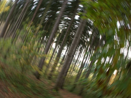 1/3 s | F6.3 | ISO 100
