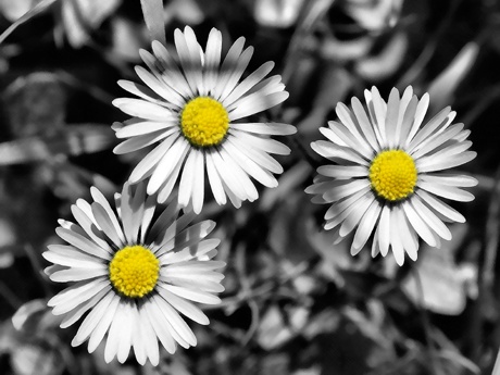 1/800 s | F8 | ISO 100