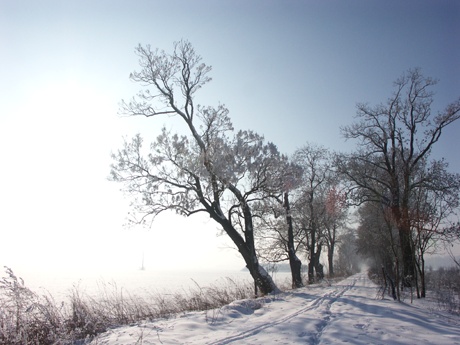 1/1000 s | F9 | ISO 100