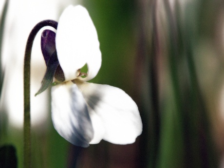 1/640 s | F7.1 | ISO 100