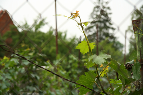 1/100 s | F6.3 | ISO 100