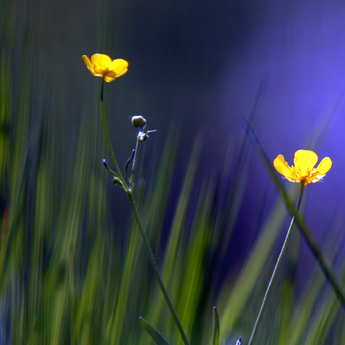1/800 s | F4 | ISO 100