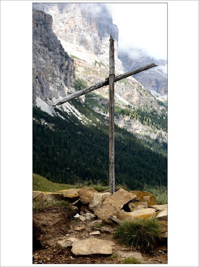 Ave crux..